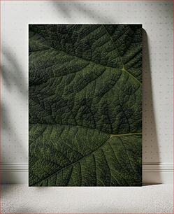 Πίνακας, Close-up of Leaf Textures Κοντινό πλάνο υφών φύλλων