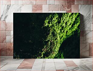 Πίνακας, Close-up of Moss on Rock Κοντινό πλάνο του Moss on Rock