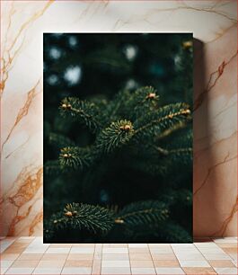 Πίνακας, Close-up of Pine Needles Κοντινό πλάνο των πευκοβελόνων