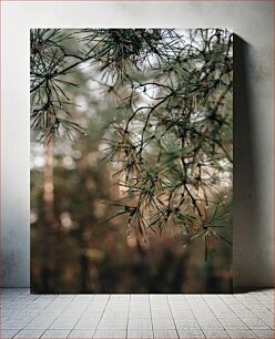 Πίνακας, Close-up of Pine Tree Branches Κοντινό πλάνο κλαδιών πεύκου