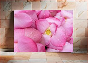 Πίνακας, Close-up of Pink Flowers with Dew Drops Κοντινό πλάνο ροζ λουλουδιών με σταγόνες δροσιάς