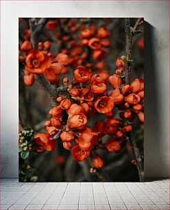 Πίνακας, Close-up of Red Flowers on Branch Κοντινό πλάνο κόκκινων λουλουδιών στο κλαδί