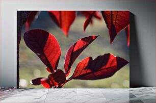 Πίνακας, Close-up of Red Leaves Κοντινό πλάνο κόκκινων φύλλων