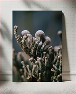 Πίνακας, Close-up of Textured Plant Κοντινό πλάνο του φυτού με υφή