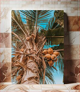 Πίνακας, Coconut Palm Tree Φοίνικας Καρύδας