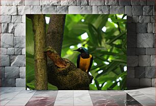 Πίνακας, Colorful Bird in the Forest Πολύχρωμο Πουλί στο Δάσος