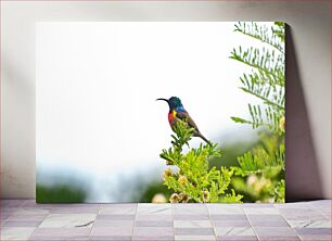 Πίνακας, Colorful Bird on a Branch Πολύχρωμο πουλί σε ένα κλαδί