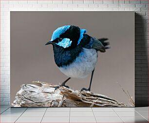 Πίνακας, Colorful Bird on a Branch Πολύχρωμο πουλί σε ένα κλαδί