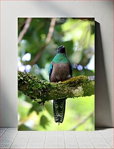 Πίνακας, Colorful Bird on a Branch Πολύχρωμο πουλί σε ένα κλαδί