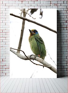 Πίνακας, Colorful Bird on a Branch Πολύχρωμο πουλί σε ένα κλαδί