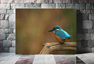 Πίνακας, Colorful Bird Perched on Branch Πολύχρωμο πουλί σκαρφαλωμένο στο κλαδί