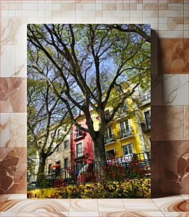 Πίνακας, Colorful Buildings and Tree Πολύχρωμα κτίρια και δέντρα