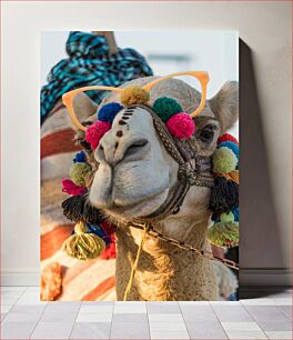 Πίνακας, Colorful Camel with Glasses Πολύχρωμη καμήλα με ποτήρια