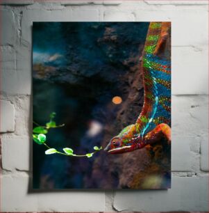Πίνακας, Colorful Chameleon Πολύχρωμος Χαμαιλέοντας