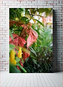 Πίνακας, Colorful Foliage Πολύχρωμο Φύλλωμα