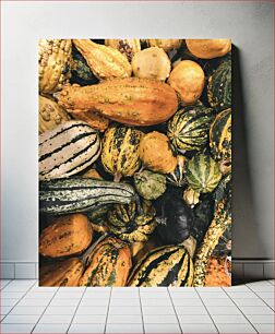 Πίνακας, Colorful Gourds Πολύχρωμες κολοκύθες