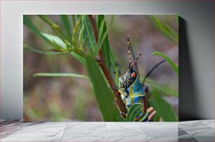 Πίνακας, Colorful Insect on a Leaf Πολύχρωμο έντομο σε ένα φύλλο