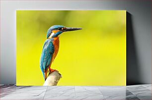 Πίνακας, Colorful Kingfisher on a Branch Πολύχρωμη αλκυόνα σε ένα κλαδί