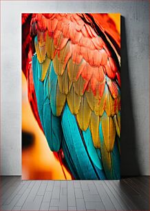 Πίνακας, Colorful Parrot Feathers Πολύχρωμα φτερά παπαγάλου