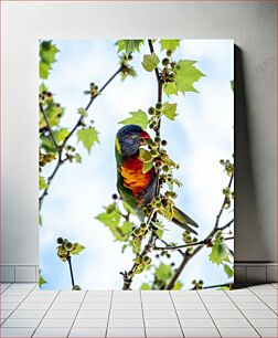 Πίνακας, Colorful Parrot in a Tree Πολύχρωμος παπαγάλος σε δέντρο