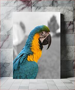 Πίνακας, Colorful Parrot Πολύχρωμος παπαγάλος