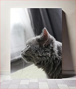 Πίνακας, Contemplative Cat Στοχαστική γάτα