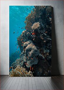 Πίνακας, Coral Reef Underwater Scene Κοραλλιογενής Ύφαλος Υποβρύχια Σκηνή