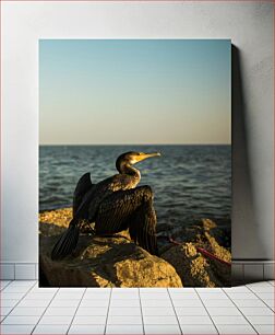 Πίνακας, Cormorant by the Sea Κορμοράνος δίπλα στη θάλασσα