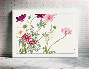 Πίνακας, Cosmos flower, Japanese woodblock art