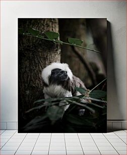 Πίνακας, Cotton-top Tamarin in the Forest Cotton-top Tamarin in the Forest