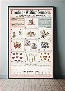 Πίνακας, Counting and writing numbers, or numeration and notation