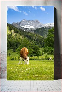 Πίνακας, Cow Grazing in a Mountain Meadow Αγελάδα που βόσκει σε ορεινό λιβάδι