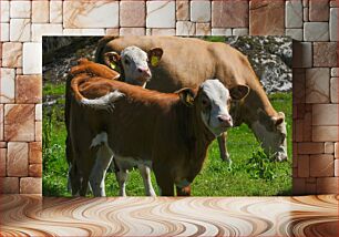 Πίνακας, Cows Grazing in a Field Αγελάδες που βόσκουν σε ένα χωράφι