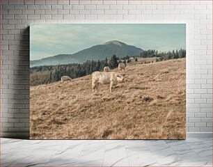 Πίνακας, Cows Grazing in Mountain Meadow Αγελάδες που βόσκουν στο Mountain Meadow