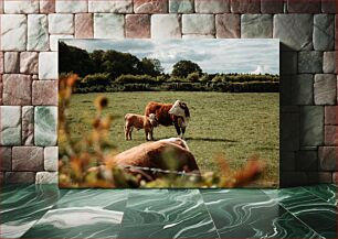 Πίνακας, Cows in a Pasture Αγελάδες σε ένα λιβάδι