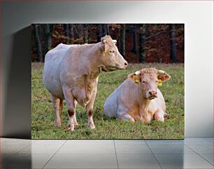 Πίνακας, Cows in a Pasture Αγελάδες σε ένα λιβάδι