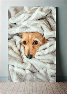 Πίνακας, Cozy Dog Wrapped in Blanket Άνετο σκυλί τυλιγμένο σε κουβέρτα