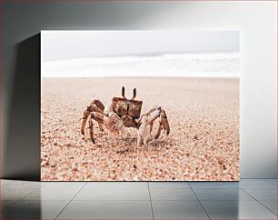 Πίνακας, Crab on the Beach Καβούρι στην παραλία