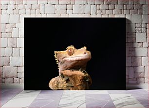 Πίνακας, Crested Gecko on a Log Γκέκο με λοφιοφόρο σε κούτσουρο