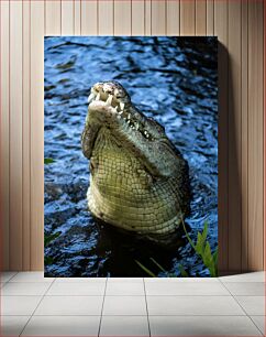 Πίνακας, Crocodile Emerging from Water Κροκόδειλος που αναδύεται από το νερό