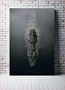 Πίνακας, Crocodile Emerging from Water Κροκόδειλος που αναδύεται από το νερό