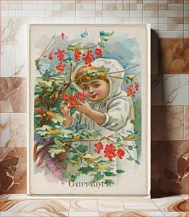 Πίνακας, Currants, from the Fruits series (N12) for Allen & Ginter Cigarettes Brands, issued by Allen & Ginter