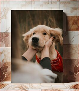 Πίνακας, Cute Dog with Red Bandana Χαριτωμένο σκυλί με κόκκινη μπαντάνα