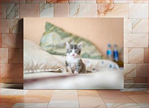 Πίνακας, Cute Kitten on Bed Χαριτωμένο γατάκι στο κρεβάτι