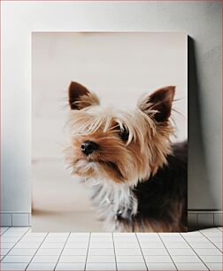 Πίνακας, Cute Yorkshire Terrier Χαριτωμένο τεριέ Γιορκσάιρ