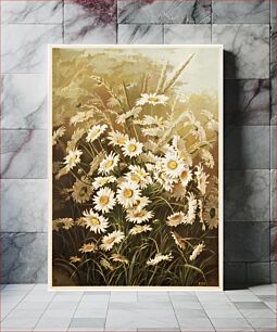 Πίνακας, Daisies by Ellen Thayer Fisher