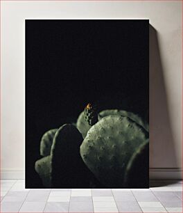 Πίνακας, Dark Cactus Σκοτεινός Κάκτος