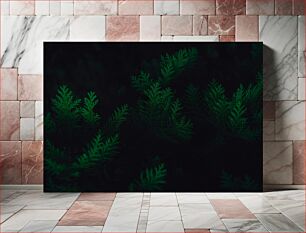 Πίνακας, Dark Green Foliage Σκούρο πράσινο φύλλωμα