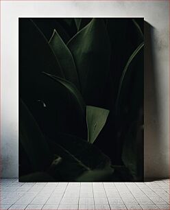 Πίνακας, Dark Green Leaves Σκούρα Πράσινα Φύλλα