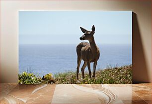 Πίνακας, Deer by the Sea Ελάφια δίπλα στη θάλασσα